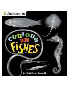 Curious about Fishes